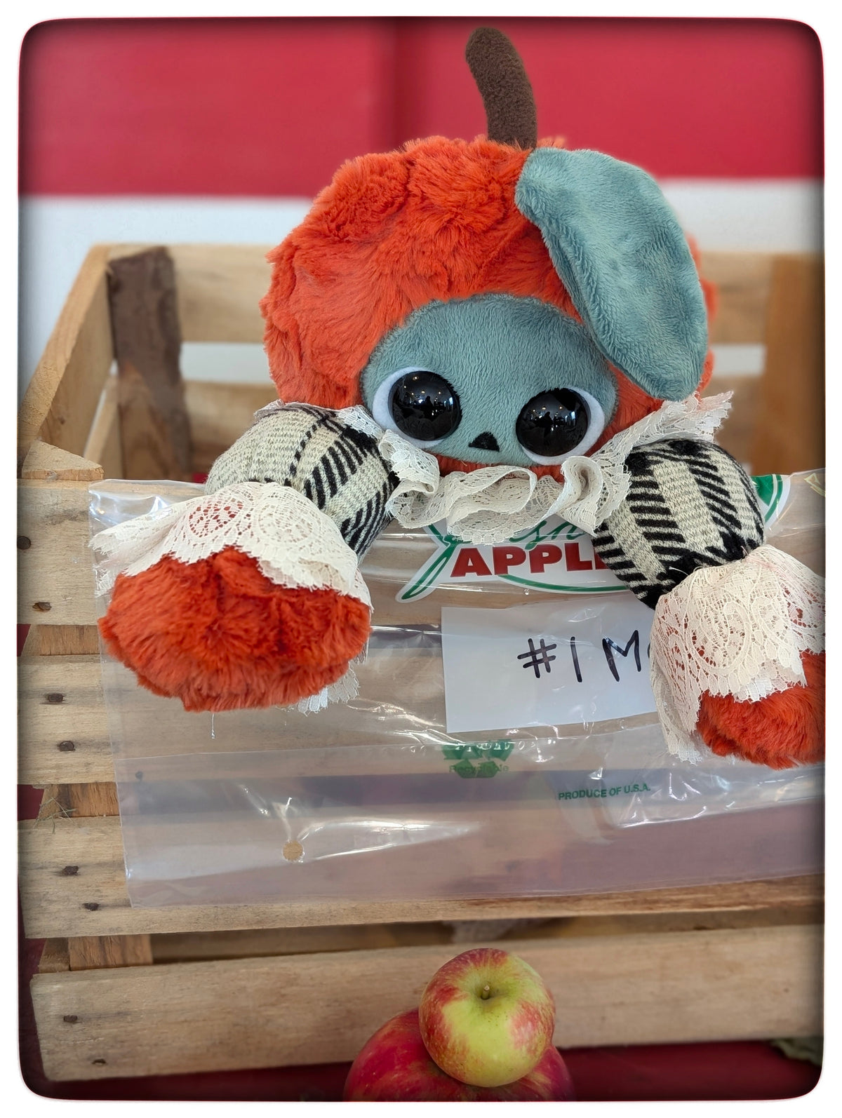 Ichabod peeking over the edge of a wooden apple crate
