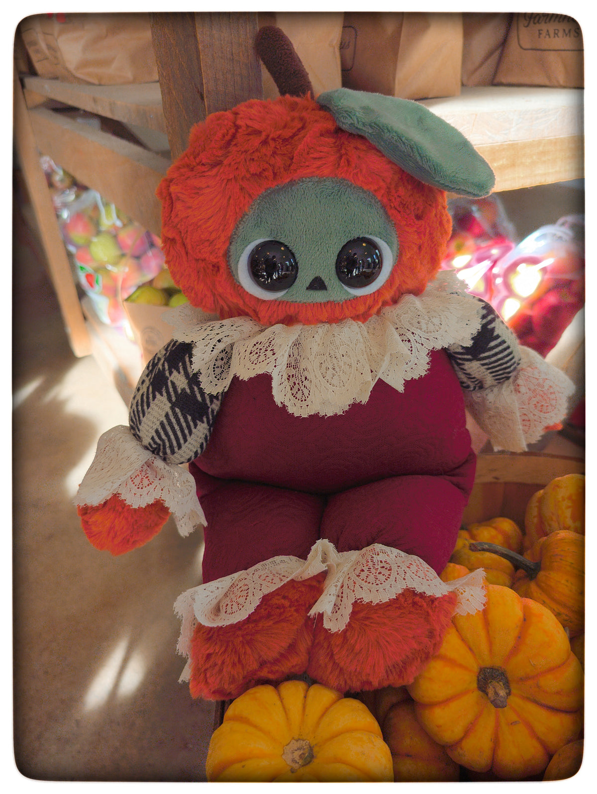 Front view of Ichabod showing his lace collar, plaid sleeves, and quilted burgundy body