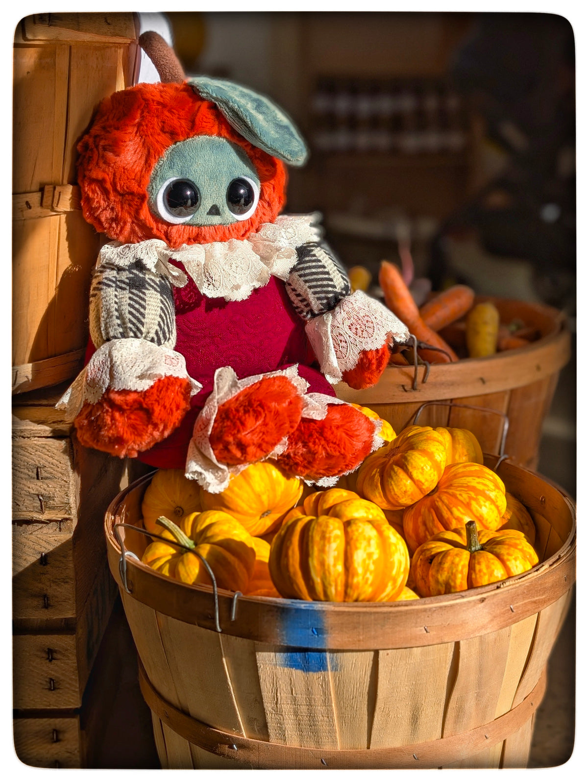 Ichabod seated on a basket of mini pumpkins