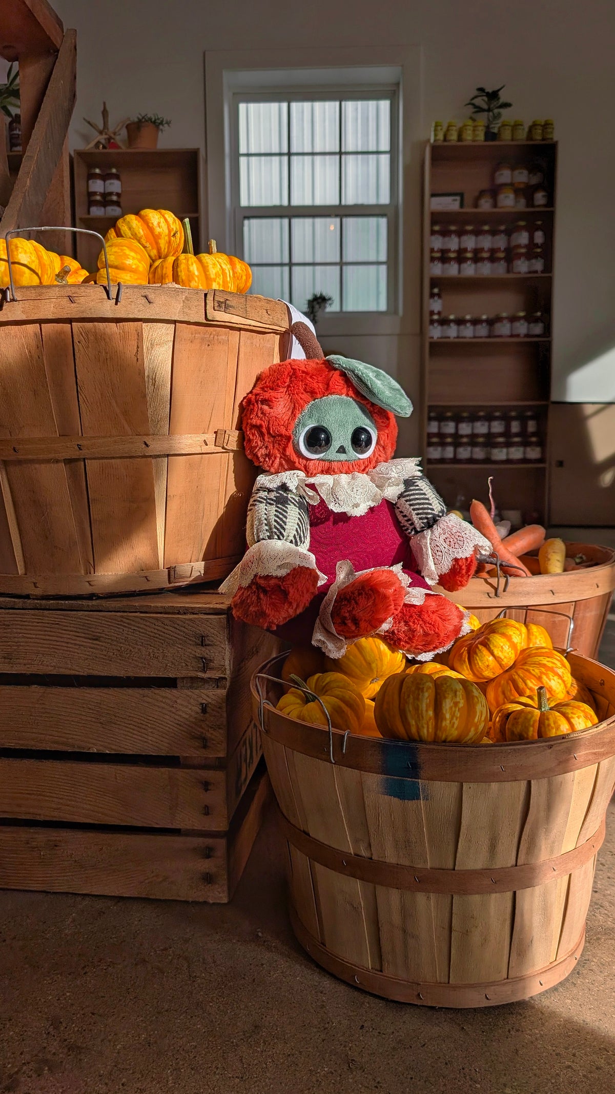 Ichabod sitting among bushel baskets of mini pumpkins at a farm stand