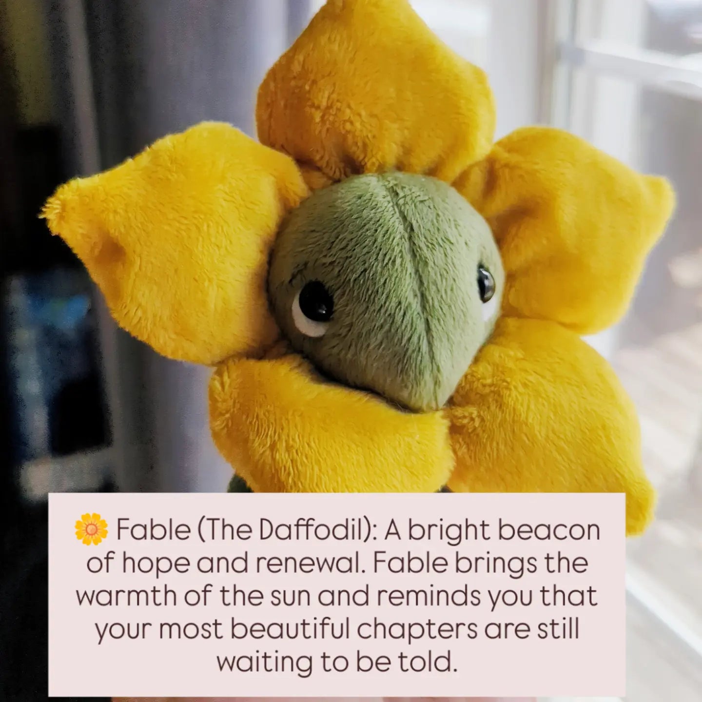 Fable the daffodil buddling
