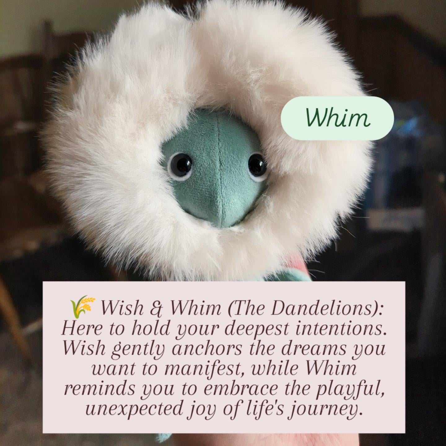 Whim the dandilion