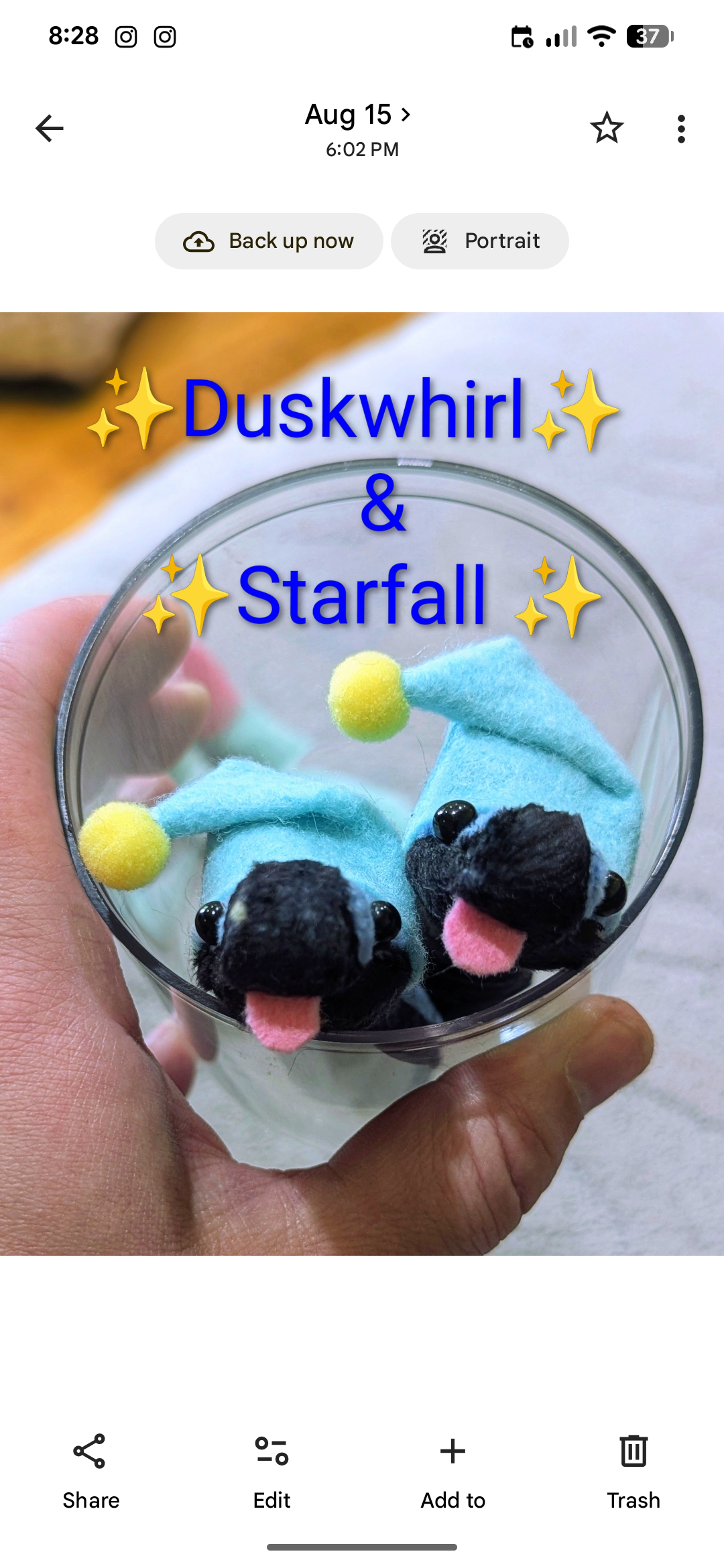 🌙 Night Doodles - Duskwhirl