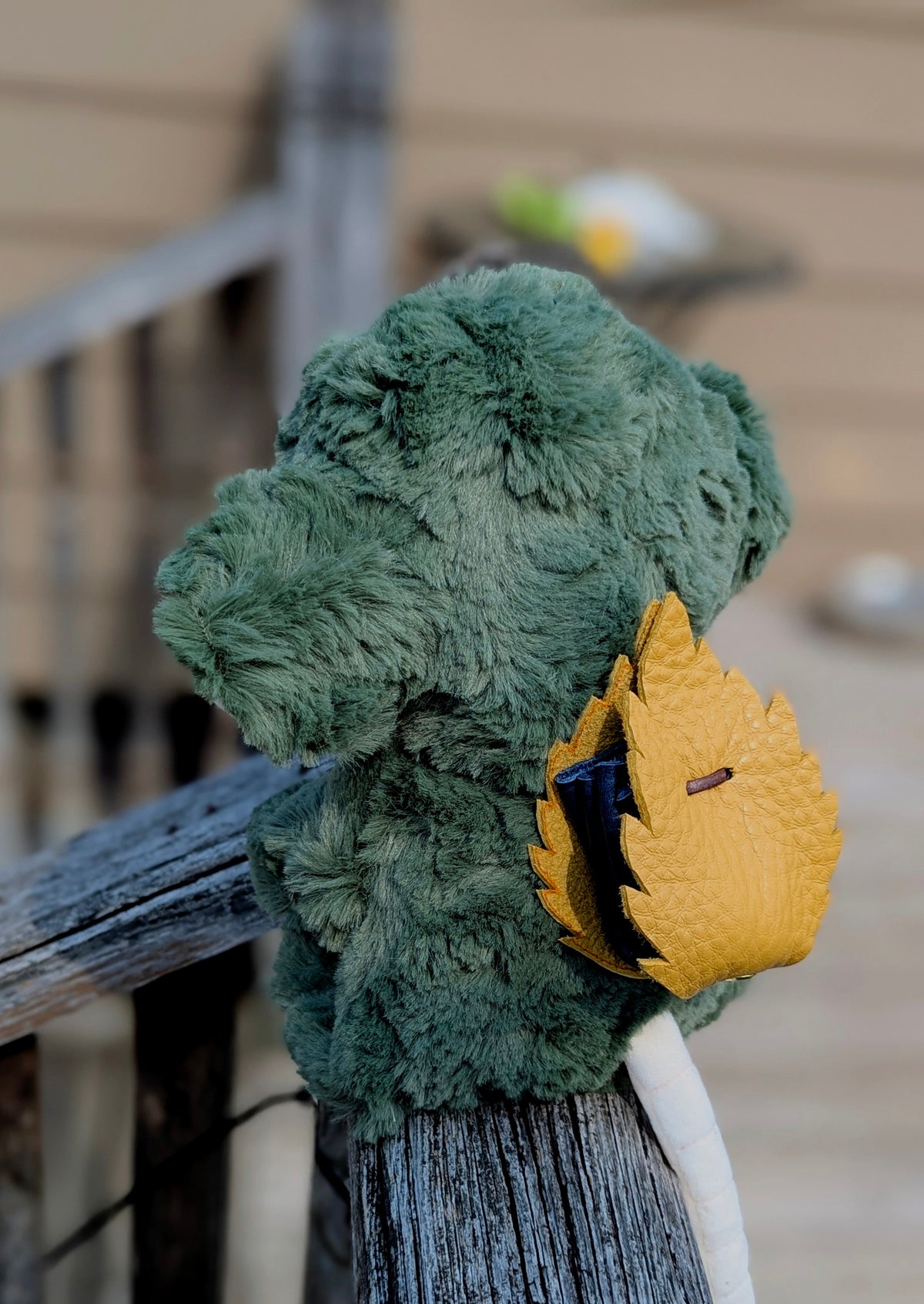 Fern — Green Mouse