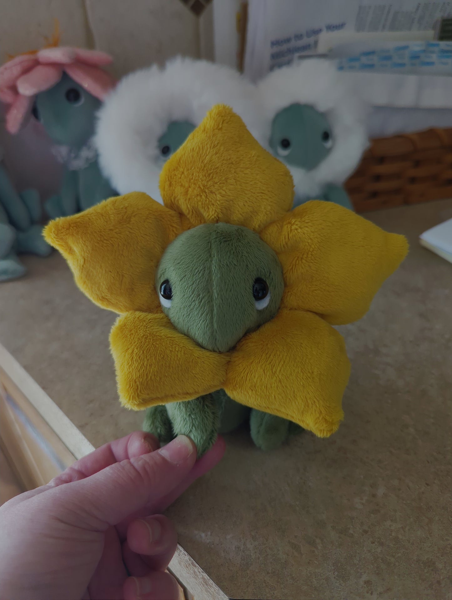 Fable the daffodil buddling