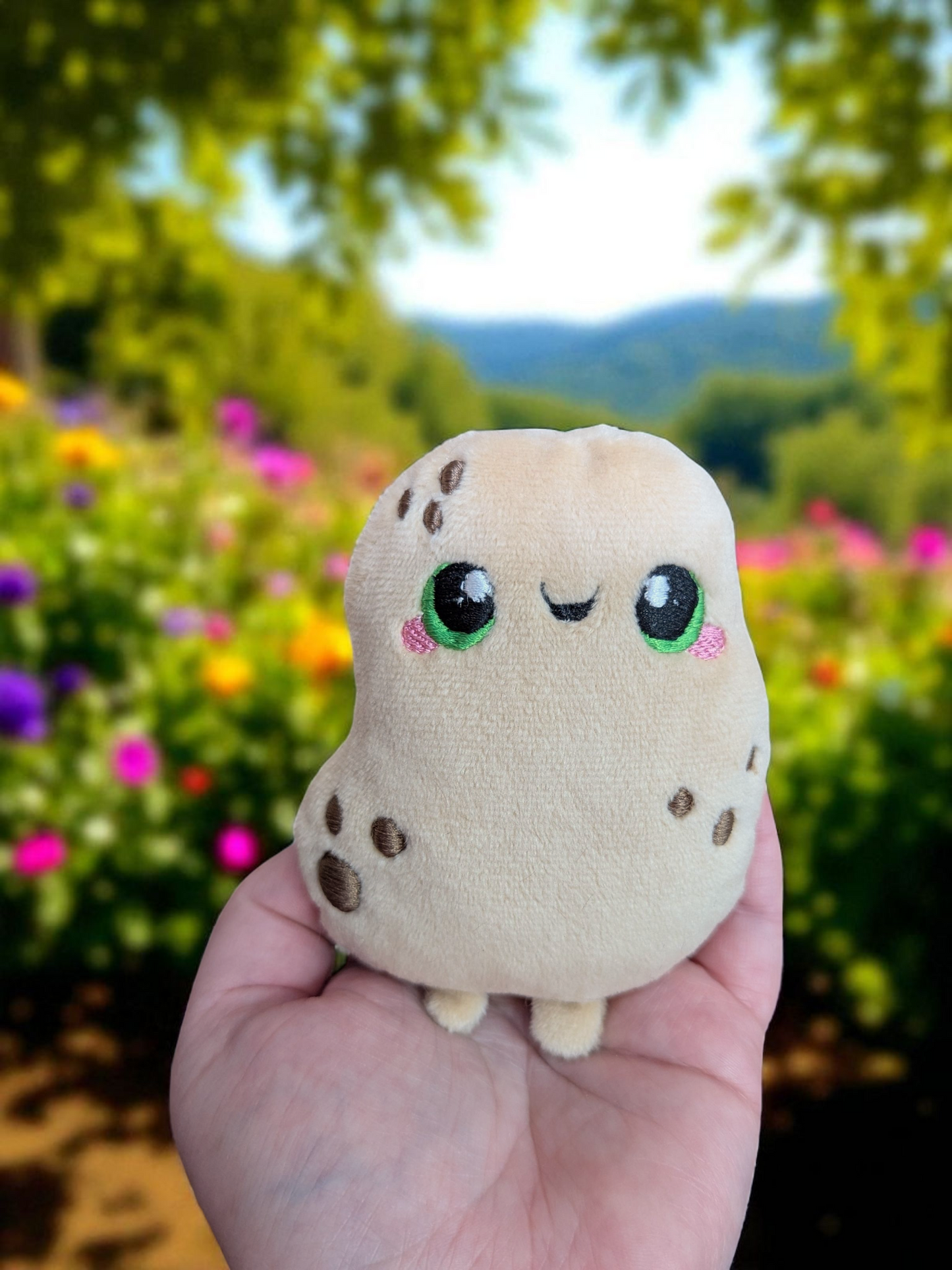 Green eyed pocket potato